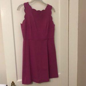 LOFT Berry A Line Scalloped Dress